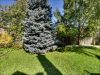 4342 Violet Road, Mississauga Ontario
